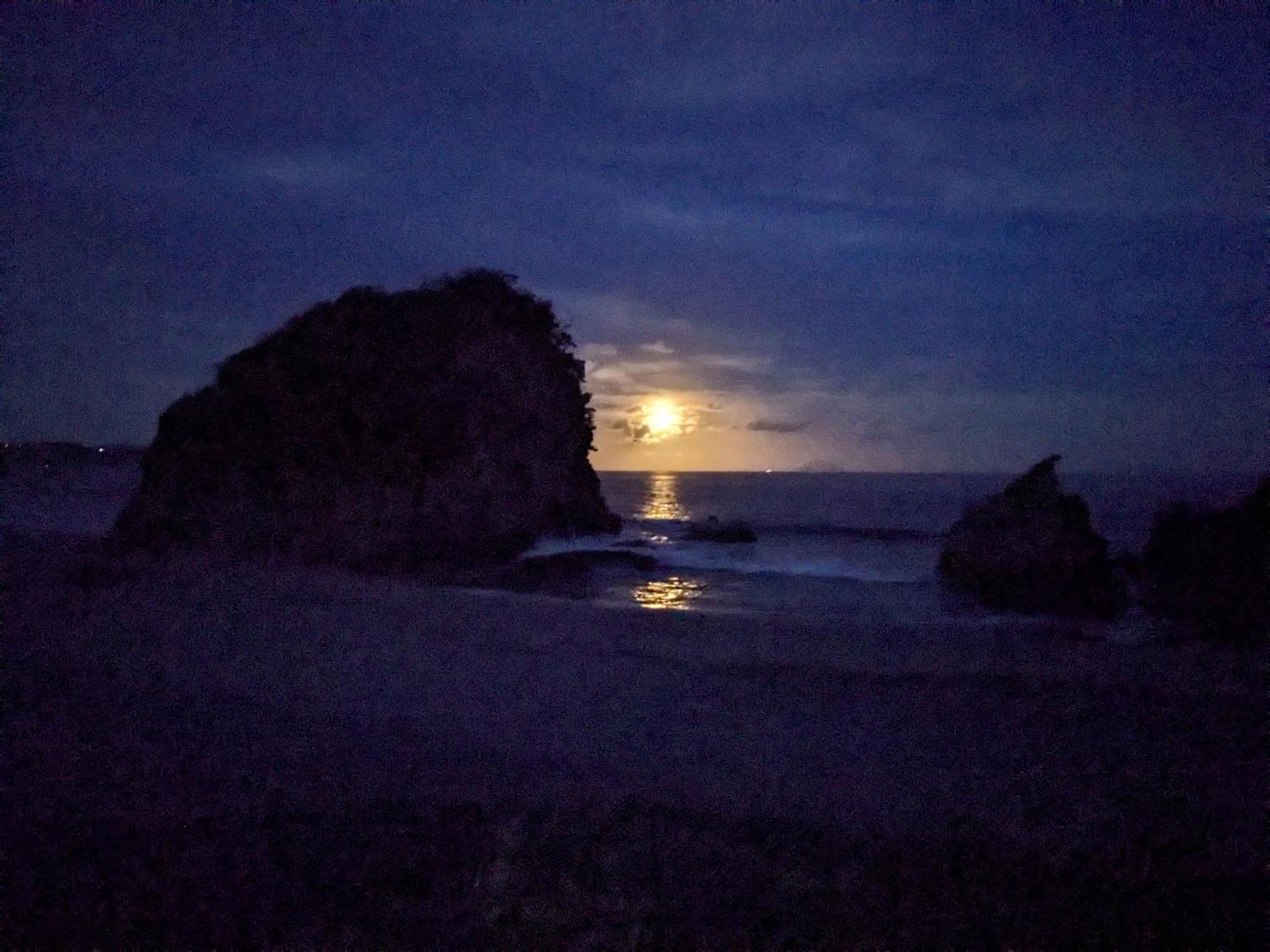 The Surf Lodge White Beach 下田市 エクステリア 写真