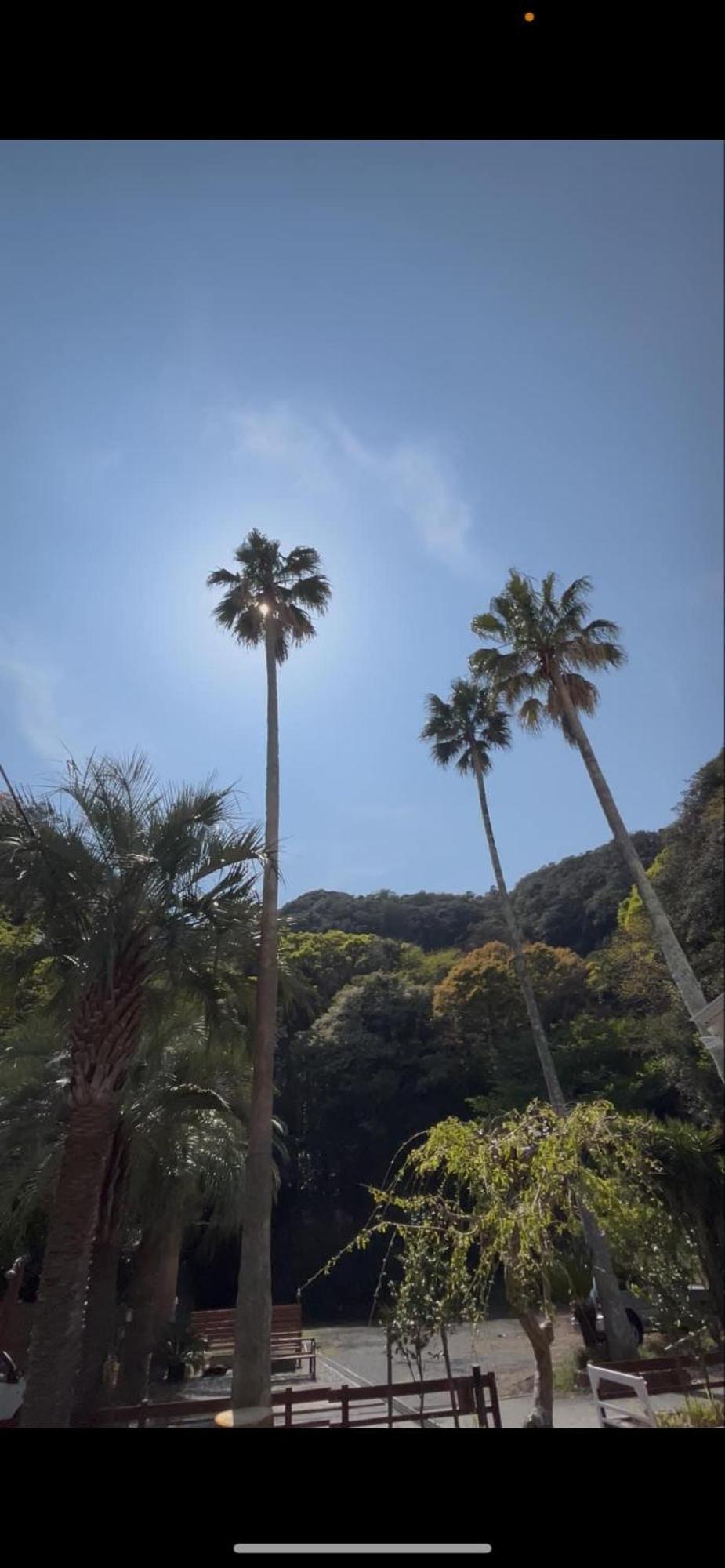 The Surf Lodge White Beach 下田市 エクステリア 写真